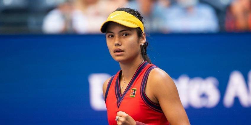 型的再现 型的再现