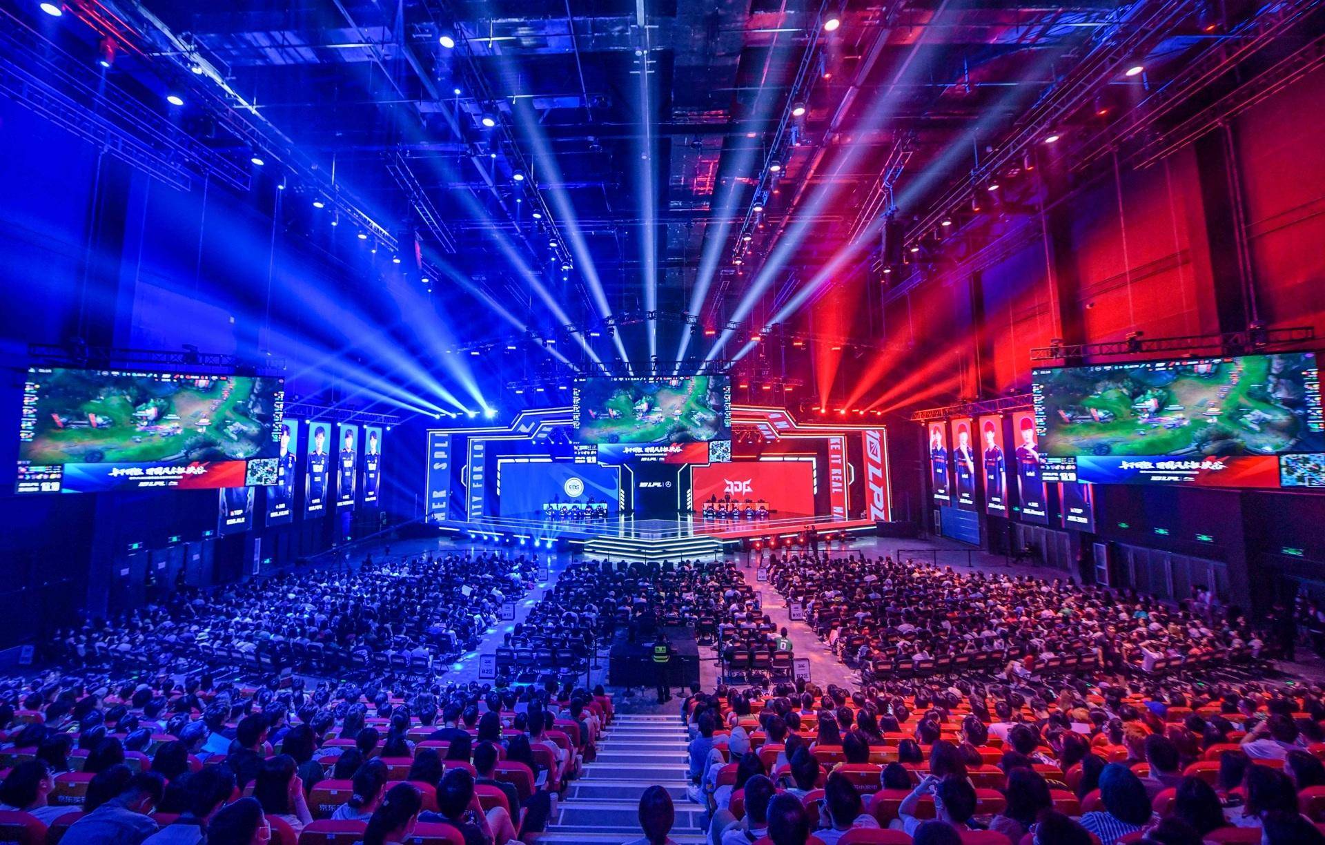 坛的巅峰 坛的巅峰