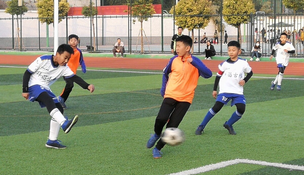 申花的路易 申花的路易